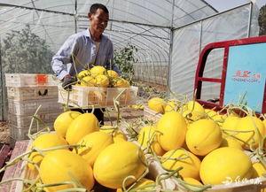 沁阳工贸吃瓜视频,揭秘幕后真相