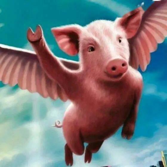 吃瓜跑山猪,揭秘农村生活的趣味瞬间