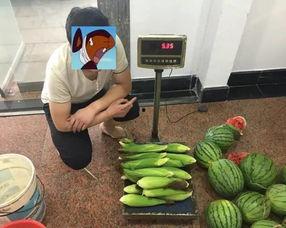 吃瓜贼开心,网络热词背后的社会现象