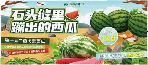 每日主题大赛吃瓜,每日主题大赛的甜蜜诱惑与辛辣揭秘