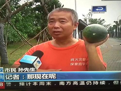 热门事件17吃瓜,揭秘热门事件背后的真相与争议