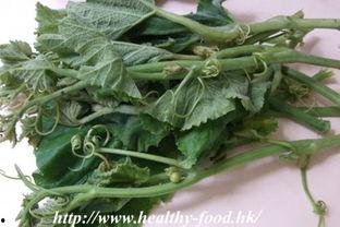 怀孕吃树瓜,探索树瓜的营养与食用之道