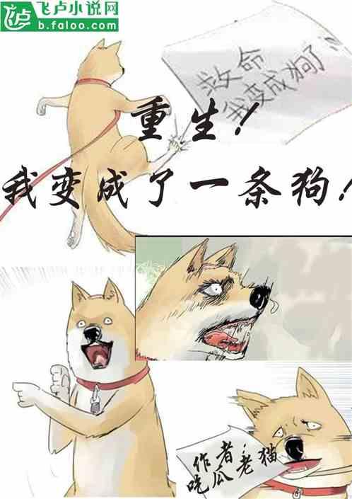 吃瓜甜饼小说在线阅读,一场穿越时空的甜蜜冒险