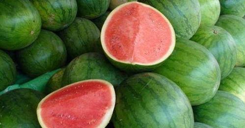 吃瓜不是瓜吃瓜,一场关于网络热语的趣味探讨