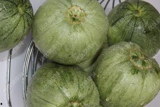 孕妇吃瓜尖好吗,孕妇吃瓜尖的利与弊