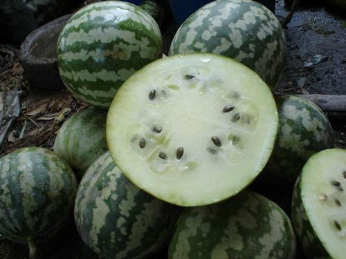 吃绿宝瓜文案短句,大自然的绿色馈赠，清新口感尽享其中