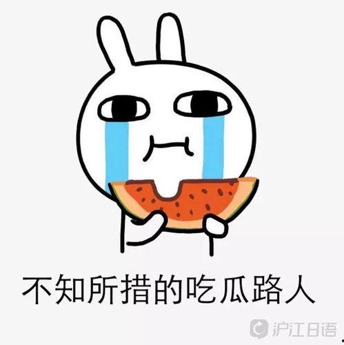 短剧吃瓜进行时,短剧吃瓜进行时揭秘娱乐圈幕后风云