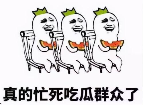 吃瓜好戏