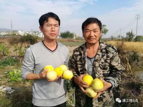 湖北襄阳吃瓜群众,吃瓜群众的热议焦点