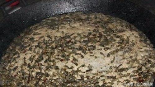 河北恶心吃瓜事件,一场网络恶搞引发的争议与反思