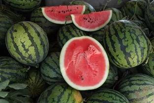 一级吃瓜,揭秘娱乐圈幕后风云