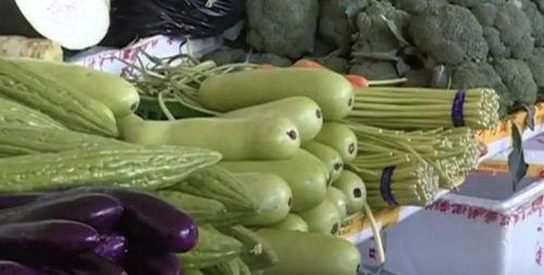 吃女朋友家种的瓜,品尝女朋友家种植的甜蜜回忆