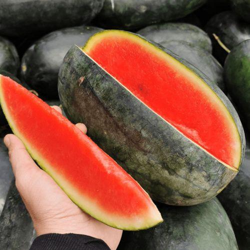 十七万吃瓜,揭秘网络热点的背后真相