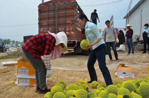 吃瓜群众前来围观,揭秘娱乐圈最新热点