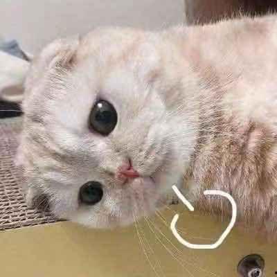 平平无奇吃瓜群众而已