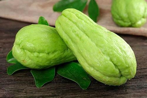 去瓜园吃瓜视频