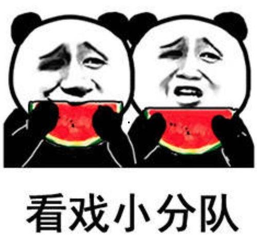 吃瓜表情包看戏,表情包演绎戏中戏